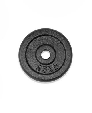 teg-disk-f25-2,5kg-dy-011-2,5