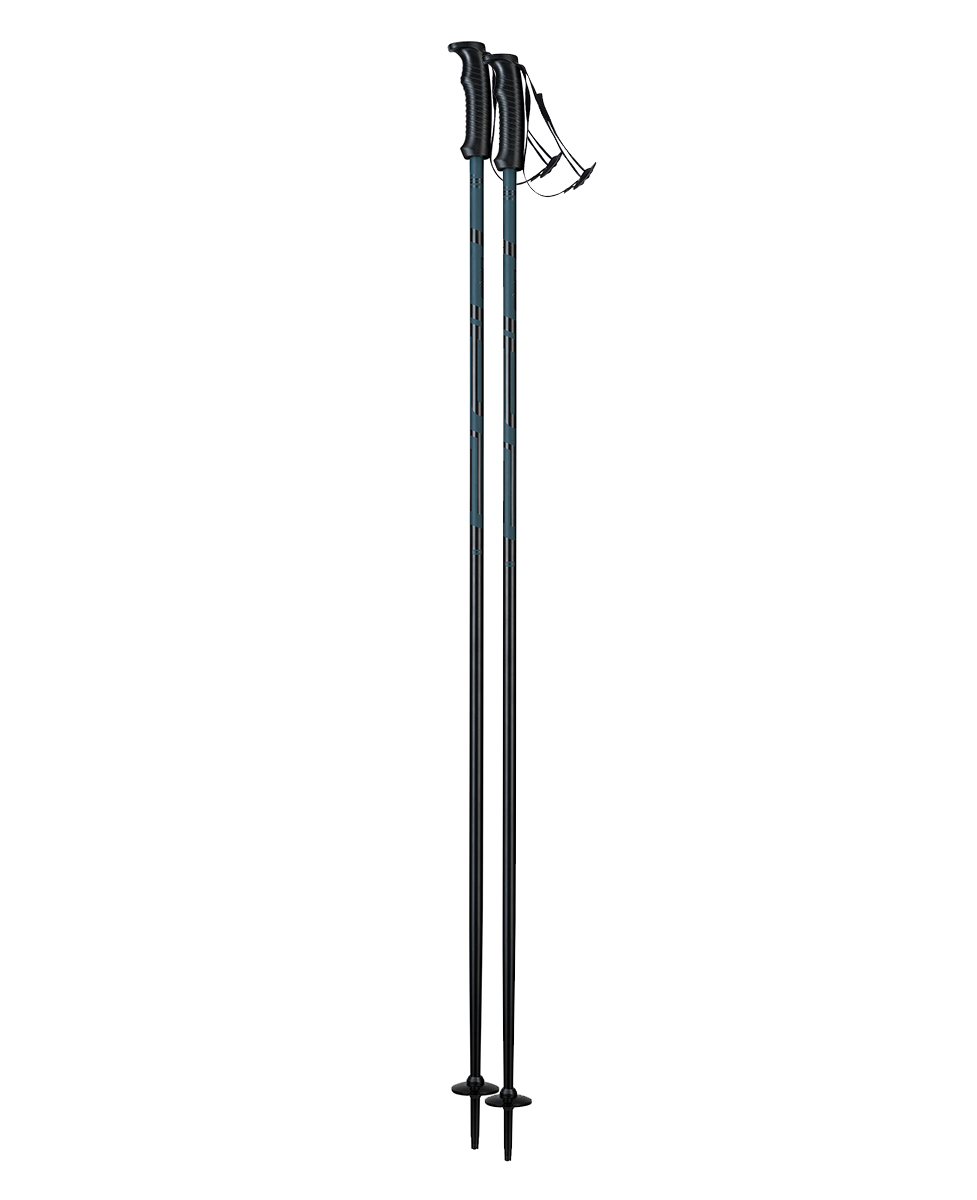 stap-ski-el-cd6122-(1)