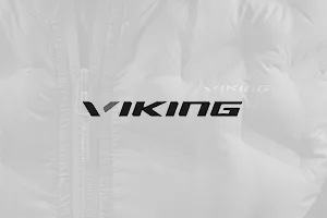 viking_brend_banner_300x200px_02.08.22-1