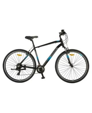 Polar Forester Comp