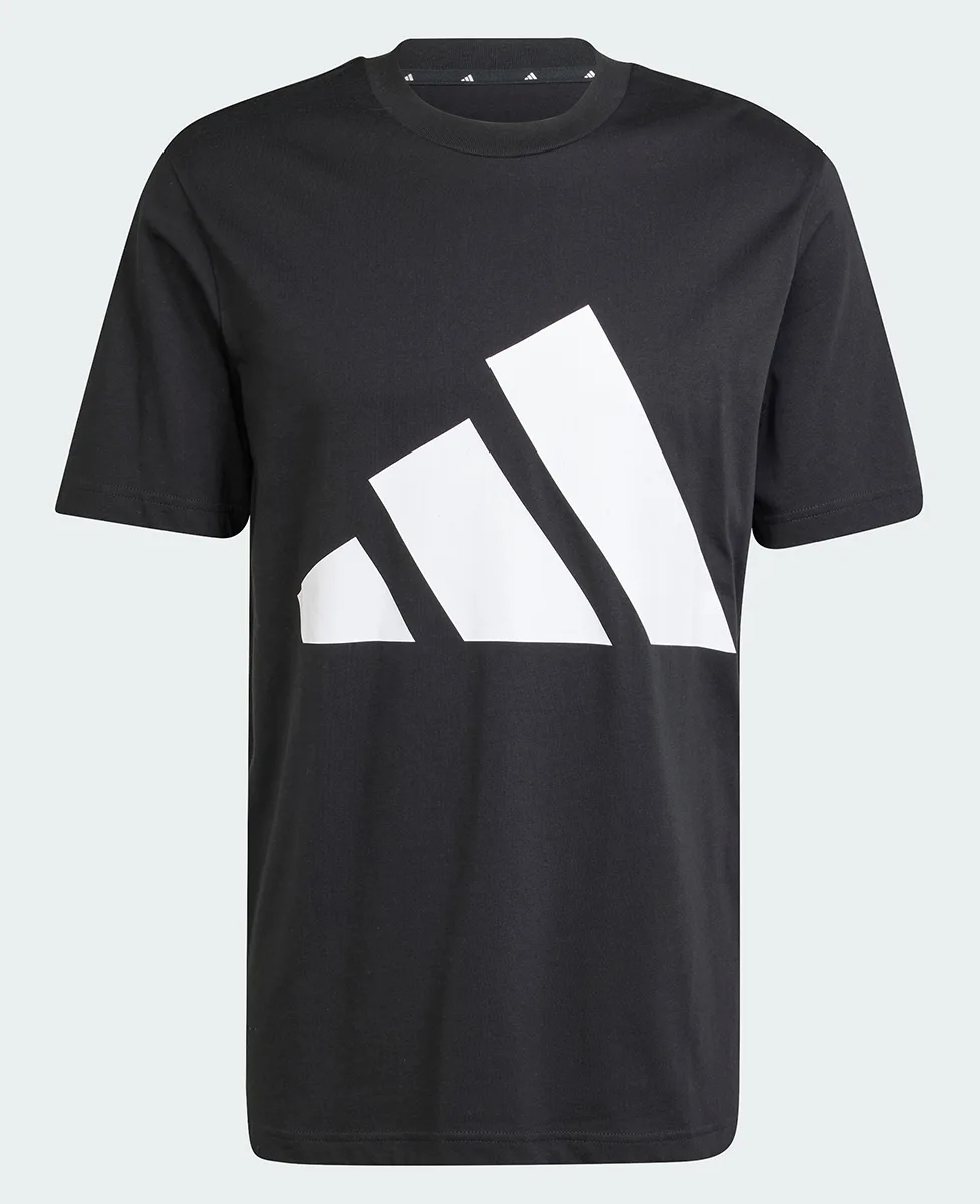 Adidas Majica Essentials Big Logo Tee