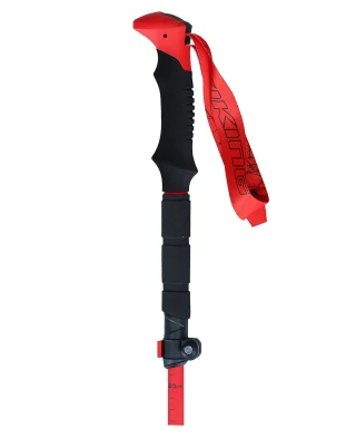Alternative view of Viking Štapovi za planinarenje Spider FS