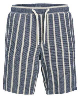 Jack and Jones Šorc Regular Fit