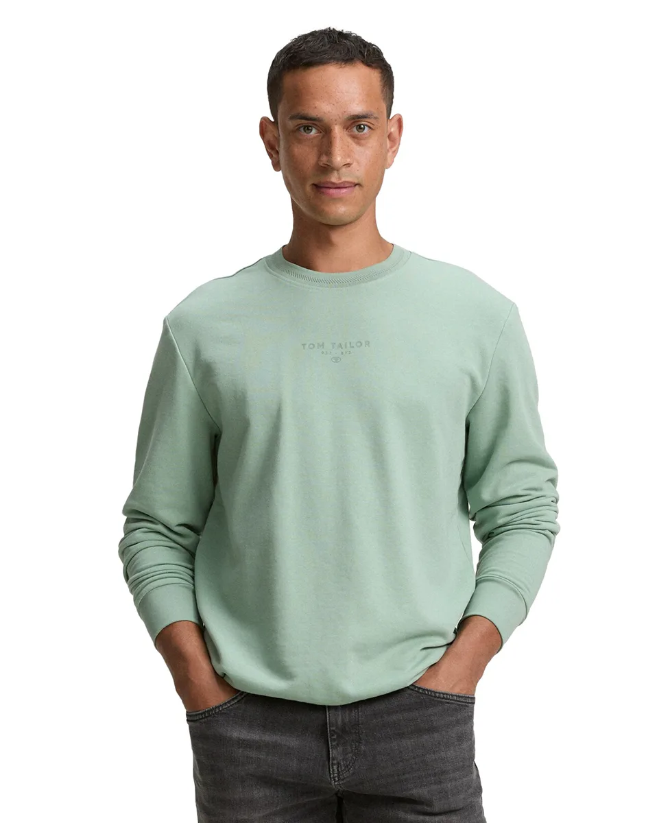 Tom Tailor Majica Basic With Logo Print