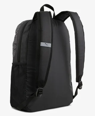 Alternative view of Puma Ruksak Phase II