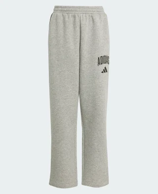 Adidas Trenerka Donji Dio Essentials Collegiate Typograph