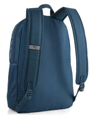 Alternative view of Puma Ruksak Phase II